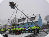 Der Narrenbaum wird von den Bommseckel im Dorf aufgestellt